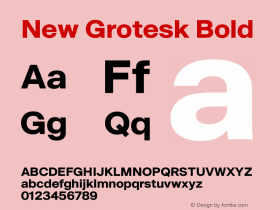 New Grotesk Bold Version 1.01A | wf-rip DC20210615图片样张