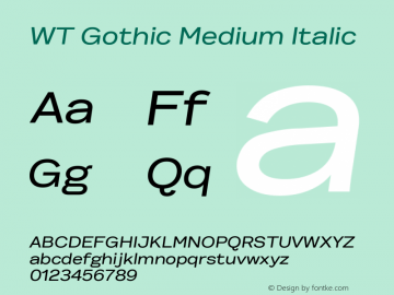 WT Gothic Medium Italic Version 2.004 | web-ttf图片样张