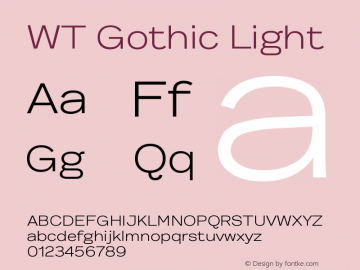 WT Gothic Light Version 2.004 | web-ttf图片样张