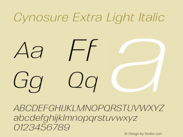 Cynosure Extra Light Italic Version 3.000;FEAKit 1.0图片样张