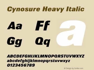 Cynosure Heavy Italic Version 3.000;FEAKit 1.0图片样张