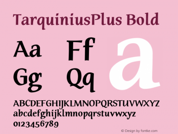 TarquiniusPlus Bold Version 001.000图片样张