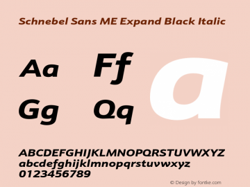 SchnebelSansMEExpand-BlackItalic Version 1.000;PS 1.00;hotconv 1.0.57;makeotf.lib2.0.21895图片样张