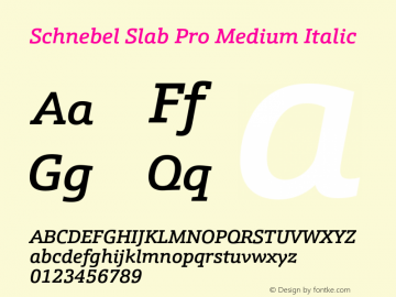 Schnebel Slab Pro Medium Italic Version 1.000;hotconv 1.0.105;makeotfexe 2.5.65592图片样张