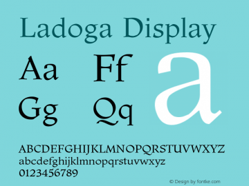 Ladoga Display Version 2.002图片样张