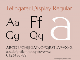 Telingater Display Version 1.003图片样张