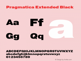 Pragmatica Extended Black Version 2.000图片样张