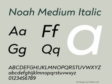 Noah Medium Italic Version 1.000图片样张