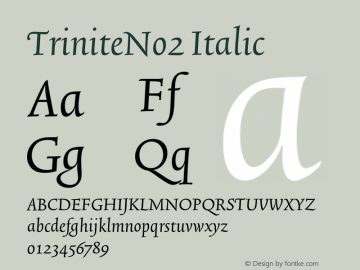 TriniteNo2 Italic 001.000图片样张