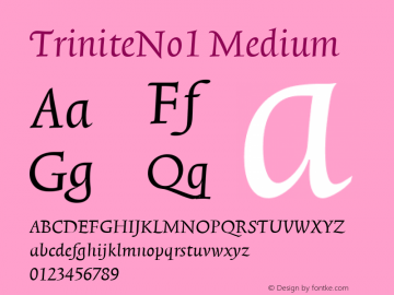 TriniteNo1 Medium Version 001.000 Font Sample