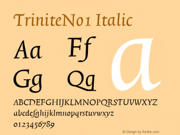 TriniteNo1 Italic Version 001.000 Font Sample