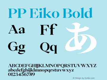 PP Eiko Bold Version 1.000图片样张