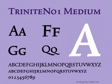 TriniteNo1 Medium Version 001.000 Font Sample