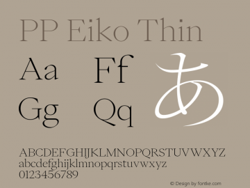 PP Eiko Thin Version 1.000图片样张