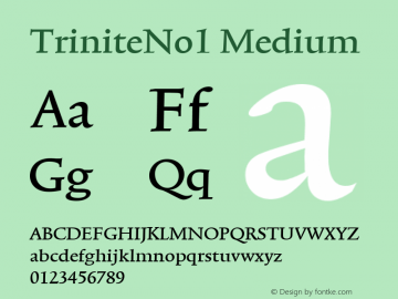 TriniteNo1 Medium Version 001.000 Font Sample