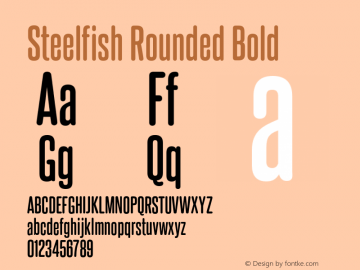 SteelfishRoundedRg-Bold Version 1.000图片样张