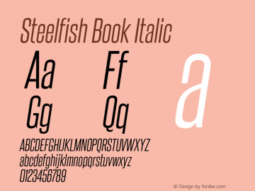 SteelfishBk-Italic Version 6.000图片样张