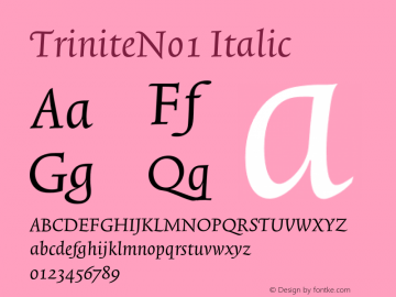 TriniteNo1 Italic 001.000 Font Sample
