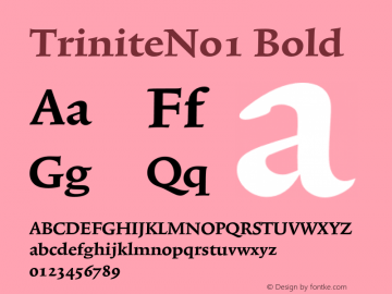 TriniteNo1 Bold 001.000 Font Sample