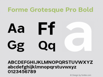 Forme Grotesque Pro Bold Version 1.001图片样张