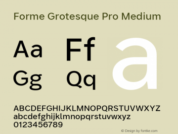 Forme Grotesque Pro Medium Version 1.001图片样张