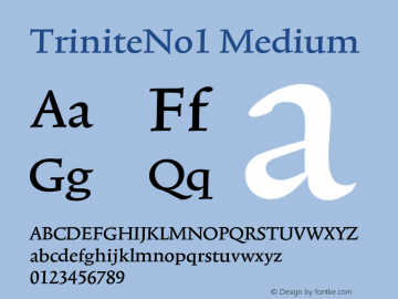 TriniteNo1 Medium 001.000 Font Sample