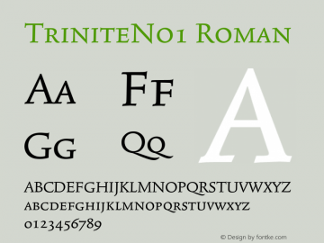 TriniteNo1 Roman 001.000 Font Sample