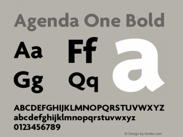 Agenda One Bold Version 5.007 | web-ttf图片样张