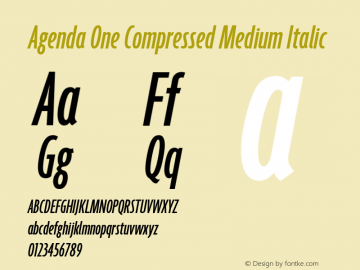 Agenda One Compressed Medium Italic Version 5.007 | web-ttf图片样张