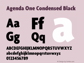 Agenda One Condensed Black Version 5.007 | web-ttf图片样张