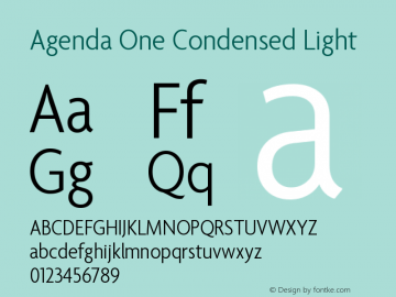 Agenda One Condensed Light Version 5.007 | web-ttf图片样张