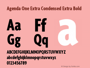 Agenda One Extra Condensed Extra Bold Version 5.007 | web-ttf图片样张