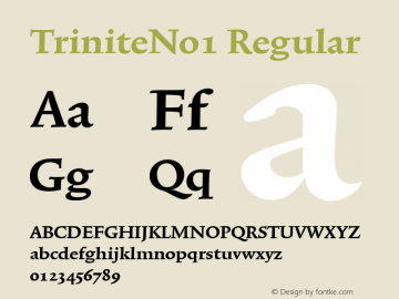 TriniteNo1 Regular Version 001.000 Font Sample