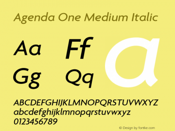 Agenda One Medium Italic Version 5.007 | web-ttf图片样张