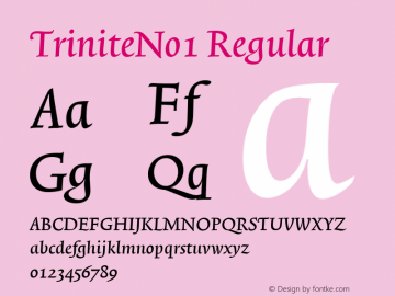 TriniteNo1 Regular Version 001.000 Font Sample