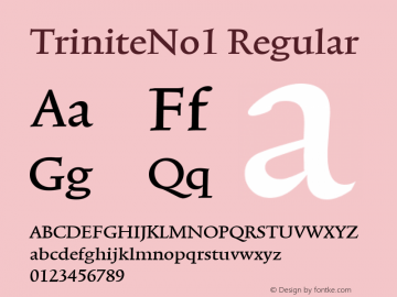 TriniteNo1 Regular Version 001.000 Font Sample