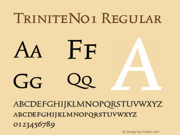 TriniteNo1 Regular Version 001.000 Font Sample