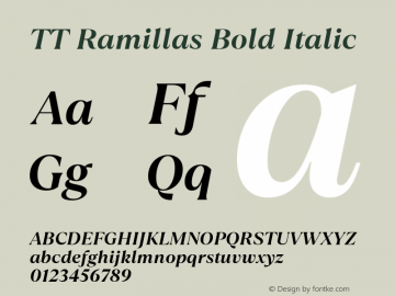 TT Ramillas Bold Italic 1.000.21092020图片样张