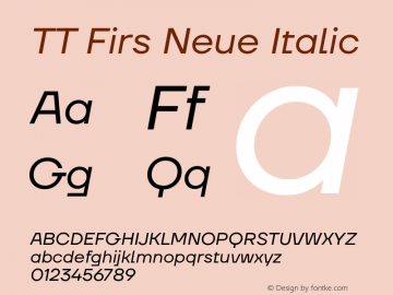 TT Firs Neue Italic Version 1.100图片样张