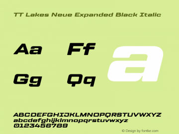 TT Lakes Neue Expanded Black Italic Version 1.100.14042021图片样张