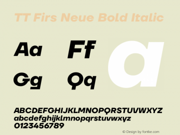 TT Firs Neue Bold Italic Version 1.100图片样张