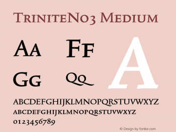 TriniteNo3 Medium Version 001.000 Font Sample