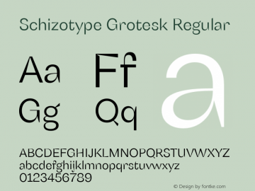 SchizotypeGrotesk-Regular Version 1.000图片样张