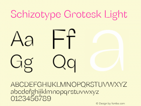 SchizotypeGrotesk-Light Version 1.000图片样张