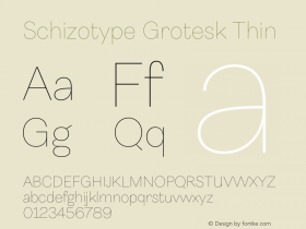 SchizotypeGrotesk-Thin Version 1.000图片样张