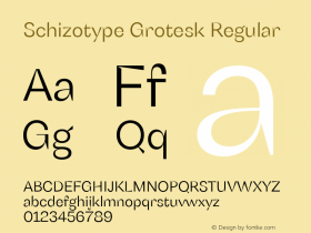 SchizotypeGrotesk-Regular Version 1.000图片样张