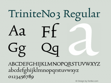 TriniteNo3 Regular Version 001.000 Font Sample