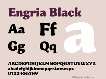 Engria-Black Version 1.000图片样张