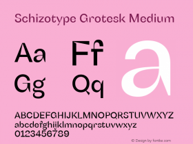 SchizotypeGrotesk-Medium Version 1.000图片样张