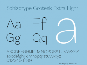 SchizotypeGrotesk-ExtraLight Version 1.000图片样张